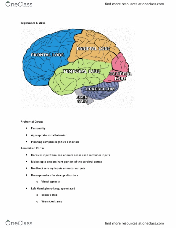 PY - Psychology PY 100S Lecture Notes - Lecture 6: Absolute Threshold, Sensory Nerve, Oncology thumbnail