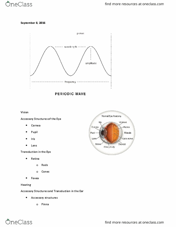 PY - Psychology PY 100S Lecture Notes - Lecture 7: Basilar Membrane, Stirrup, Interposition thumbnail