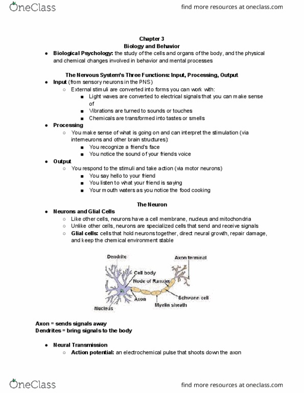 PY - Psychology PY 100S Lecture Notes - Lecture 2: Visual Agnosia, Cerebellum, Transcranial Magnetic Stimulation thumbnail