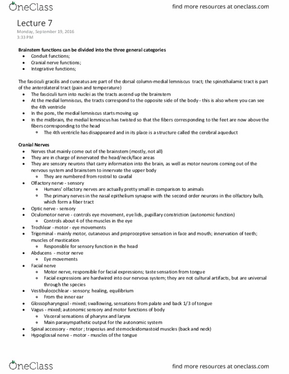 ANAT 321 Lecture Notes - Lecture 7: Trapezius Muscle, Cranial Nerve Nucleus, Periaqueductal Gray thumbnail