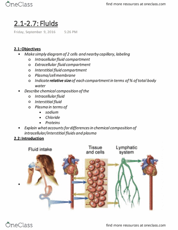 Physiology 2130 Lecture Notes - Lecture 2: Body Water, Fluid Compartments, Extracellular Fluid thumbnail