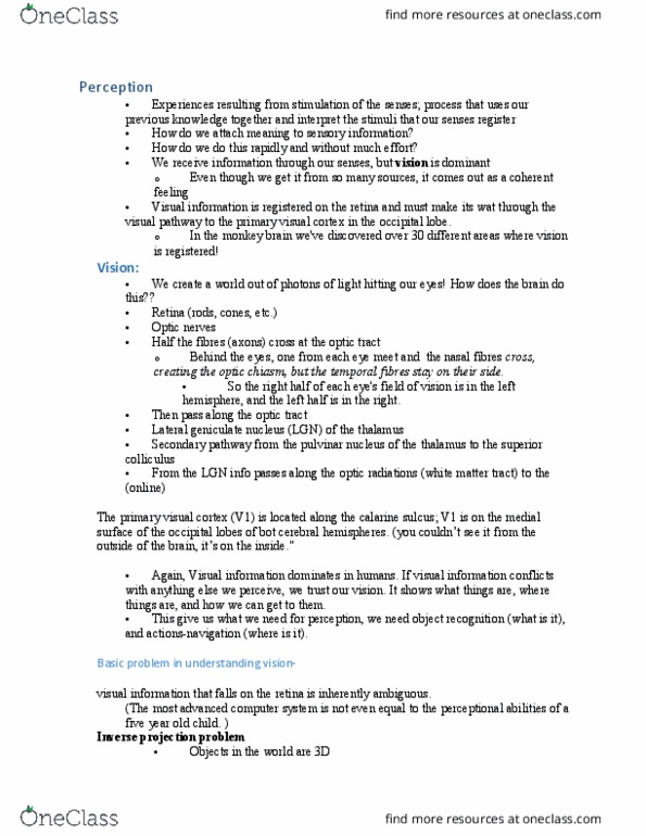 PSY270H1 Lecture Notes - Lecture 2: Visual Cortex, Optic Chiasm, Optical Illusion thumbnail