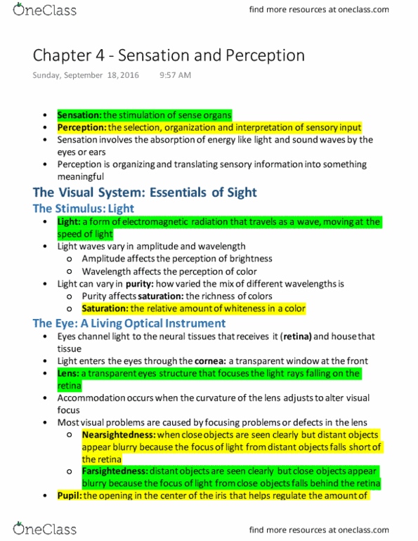 PSYC 101 Chapter Notes - Chapter 4: Visual Cortex, Optic Chiasm, Trichromacy thumbnail