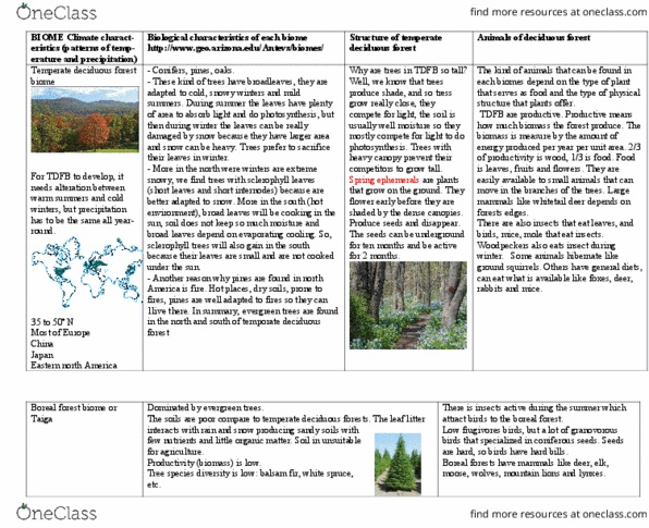 BIO120H1 Chapter Notes - Chapter 1: Temperate Deciduous Forest, Alpine Tundra, Sclerophyll thumbnail