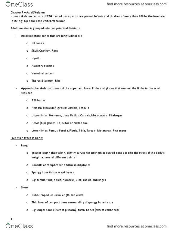 KINESIOL 1A03 Lecture Notes - Lecture 7: Nasal Concha, Internal Auditory Meatus, Ethmoid Bone thumbnail