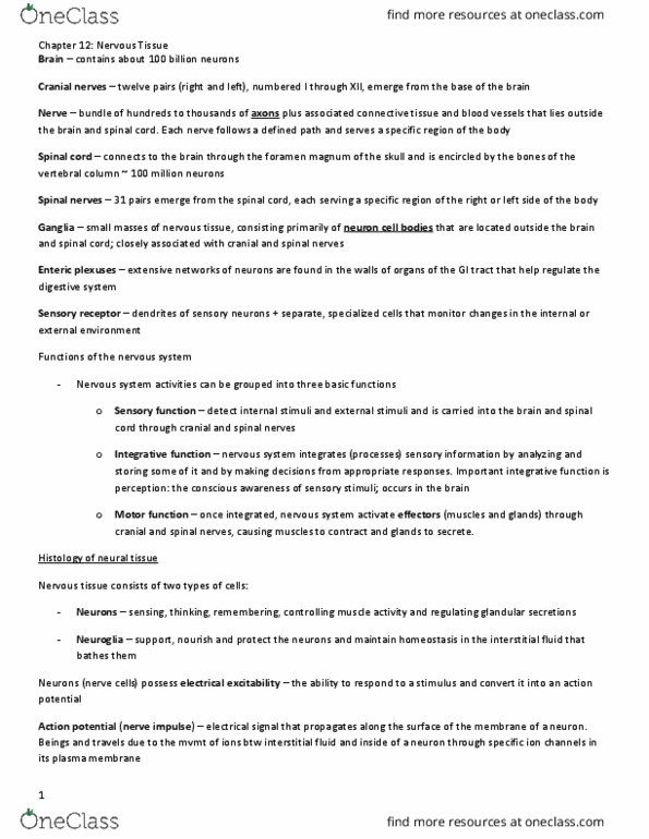 KINESIOL 1A03 Lecture Notes - Lecture 12: Resting Potential, Axon Hillock, Myelin thumbnail