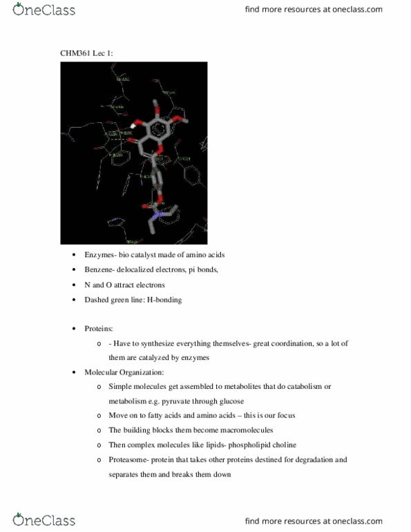 CHM361H5 Lecture Notes - Lecture 1: Weak Interaction, Proteasome, Bond Energy thumbnail