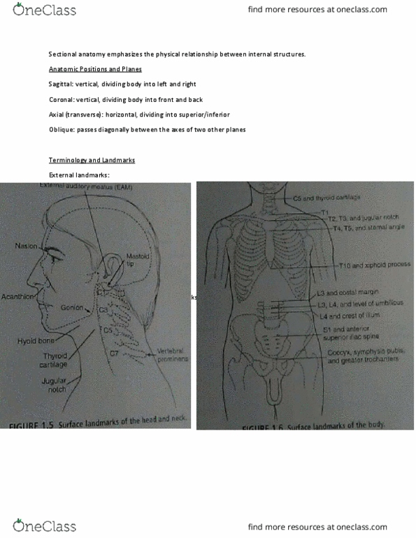 MEDRADSC 2D03 Chapter Notes - Chapter 1: Pleural Cavity, Hounsfield Scale, Voxel thumbnail