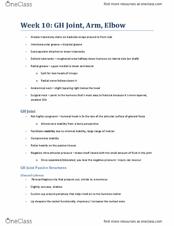 KINESIOL 2E03 Lecture Notes - Lecture 10: Radial Tuberosity, Bicipital Groove, Radial Fossa thumbnail