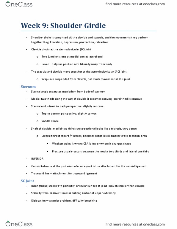 KINESIOL 2E03 Lecture Notes - Lecture 9: Conoid Ligament, Shoulder Girdle, Coracoclavicular Ligament thumbnail