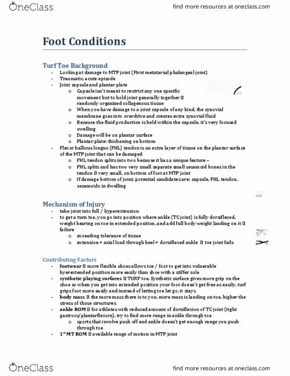 KINESIOL 3K03 Lecture Notes - Lecture 8: Plantar Fasciitis, Plantar Fascia, Metatarsophalangeal Joint Sprain thumbnail