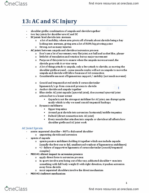 KINESIOL 3K03 Lecture Notes - Lecture 13: Shoulder Girdle, Acromion, Synovial Joint thumbnail