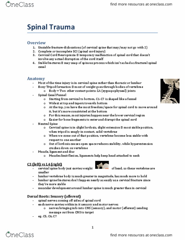 KINESIOL 3K03 Lecture Notes - Lecture 3: Cervical Fracture, Lumbar Vertebrae, Neutral Spine thumbnail