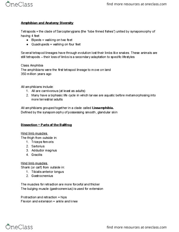 BIOL 3070 Lecture Notes - Lecture 5: Adductor Magnus Muscle, Tibialis Anterior Muscle, Lissamphibia thumbnail