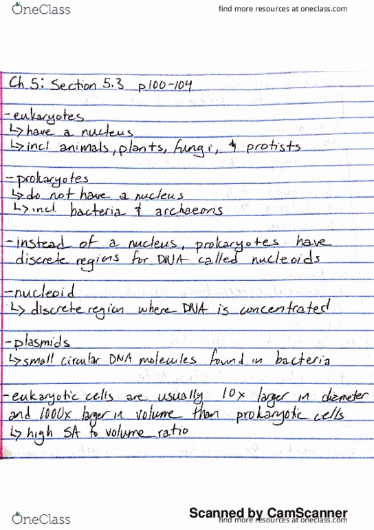 BIOL 112 Chapter 5.3: General Properties and Types of Cells thumbnail