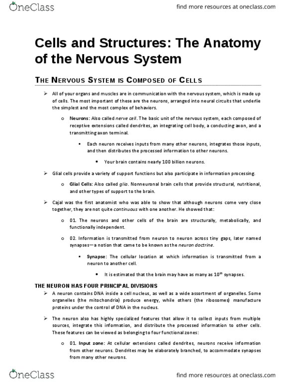 PSYC 3670 Chapter Notes - Chapter 2: Sympathetic Nervous System, Peripheral Nervous System, Autonomic Nervous System thumbnail