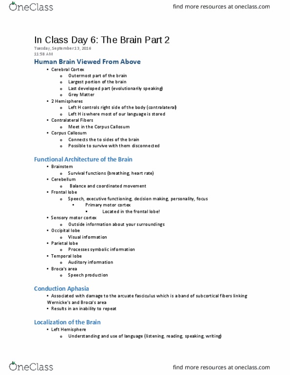 CSD 094 Lecture Notes - Lecture 6: Primary Motor Cortex, Frontal Lobe, Occipital Lobe thumbnail