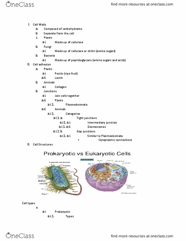 BIOL 1201 Lecture Notes - Lecture 7: Mesosome, Cell Adhesion, Lectin thumbnail