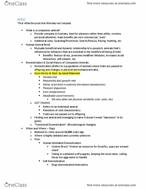 ANSC 250 Lecture Notes - Lecture 6: Bernese Mountain Dog, Exotic Pet, Australian Cattle Dog thumbnail