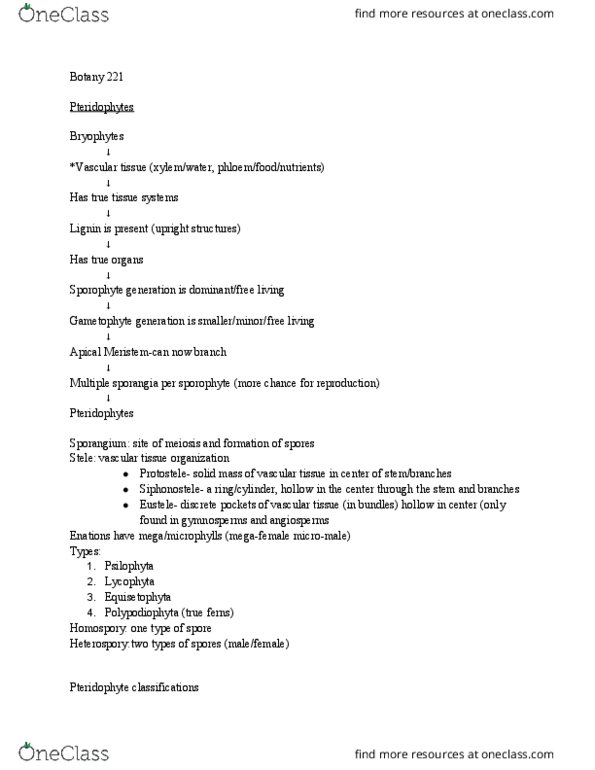 BIOL 221 Lecture Notes - Lecture 4: Equisetopsida, Pteridophyte, Polypodium thumbnail