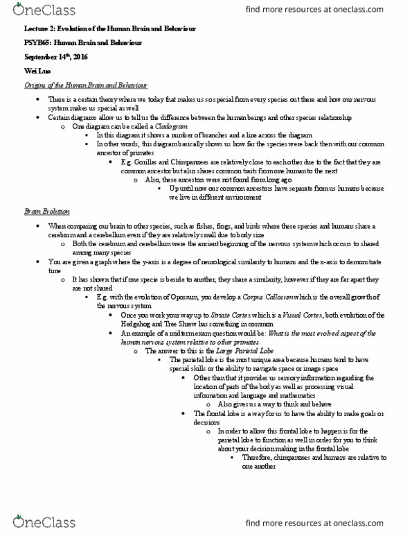 PSYB65H3 Lecture Notes - Lecture 2: Homo Habilis, Parietal Lobe, Frontal Lobe thumbnail