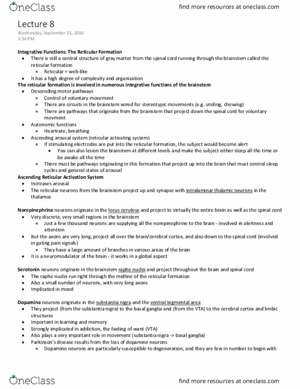 ANAT 321 Lecture Notes - Lecture 8: Thalamic Reticular Nucleus, Medial Geniculate Nucleus, Substantia Nigra thumbnail