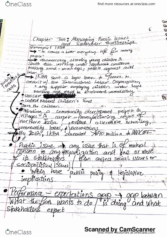 MGMT-201 Chapter 2: Managing Public Issues and Stakeholder Relationships thumbnail