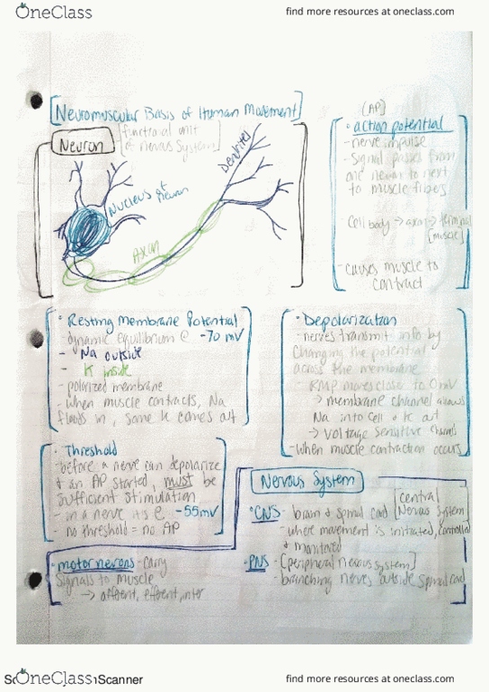 KINE 326 Lecture 3: NeuroMuscular thumbnail