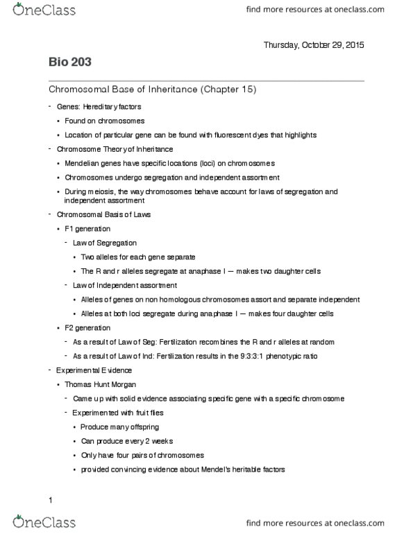 BIOL 203 Lecture Notes - Lecture 14: Thomas Hunt Morgan, Y Chromosome, Wild Type thumbnail