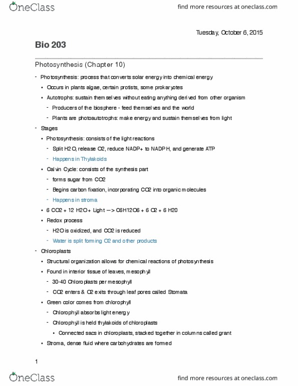 BIOL 203 Lecture 9: Chap10 thumbnail