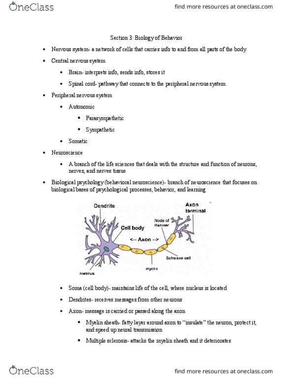 PSYCH 100 Lecture Notes - Lecture 8: Peripheral Nervous System, Central Nervous System, Behavioral Neuroscience thumbnail