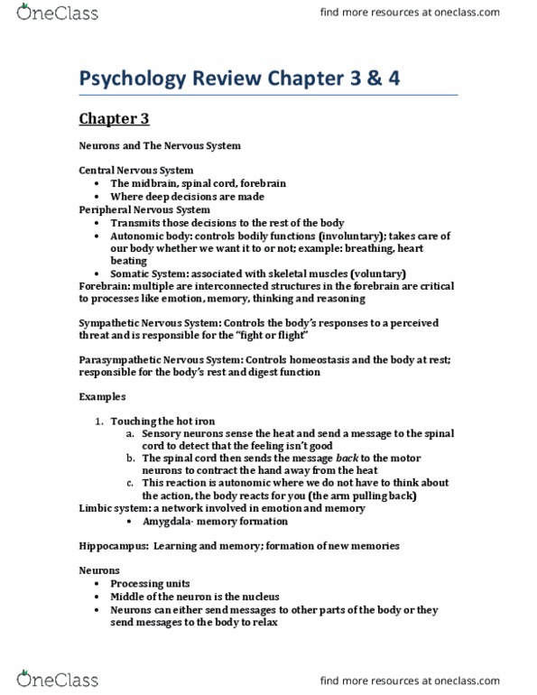 PSYA01H3 Chapter Notes - Chapter 3-4: Magnetic Resonance Imaging, Frontal Lobe, Cerebral Cortex thumbnail