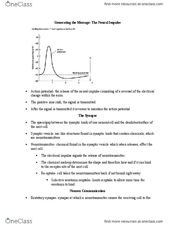 PSYCH 100 Lecture Notes - Lecture 9: Synaptic Vesicle, Reuptake, Action Potential thumbnail