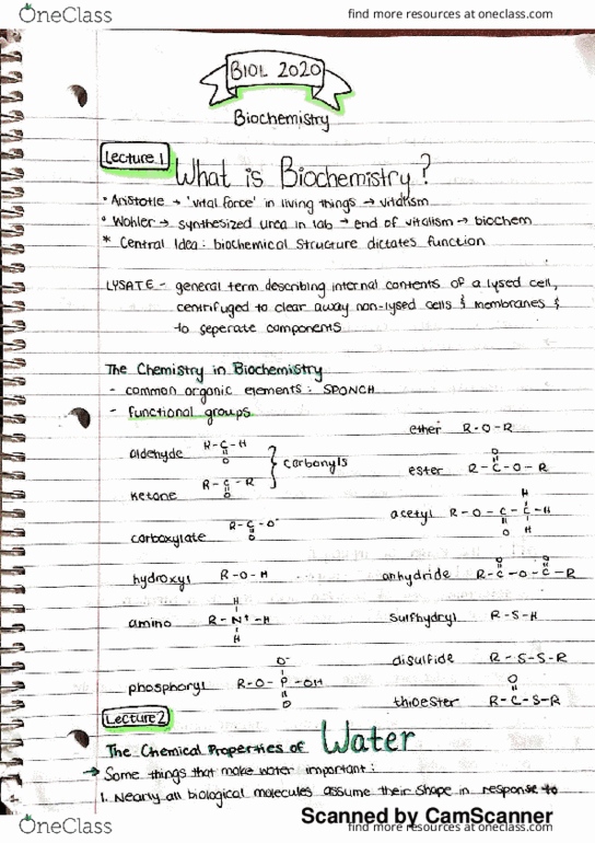 BCHM 2020 Lecture 1: biochem 1-2 thumbnail