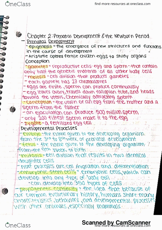 PSY-PC 1250 Chapter 2: Chapter 2, Prenatal Development and the Newborn Period thumbnail