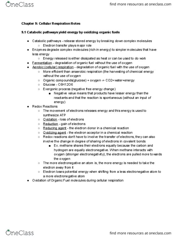 BIOL 2100 Chapter Notes - Chapter 9: Flavin Mononucleotide, Oxidizing Agent, Oxidative Phosphorylation thumbnail