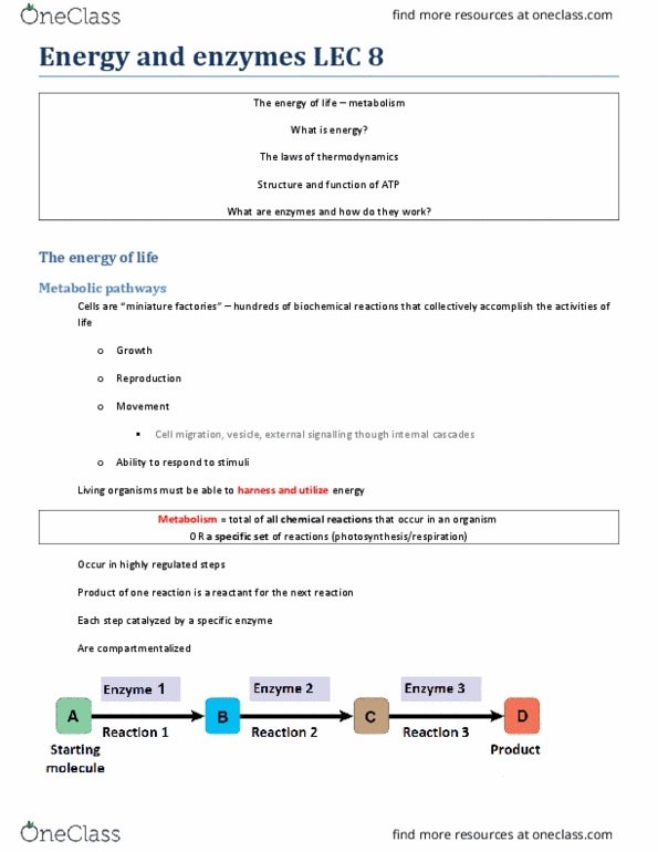 BIOA01H3 Lecture Notes - Lecture 8: Enzyme Inhibitor, Catalytic Cycle, Isoleucine thumbnail