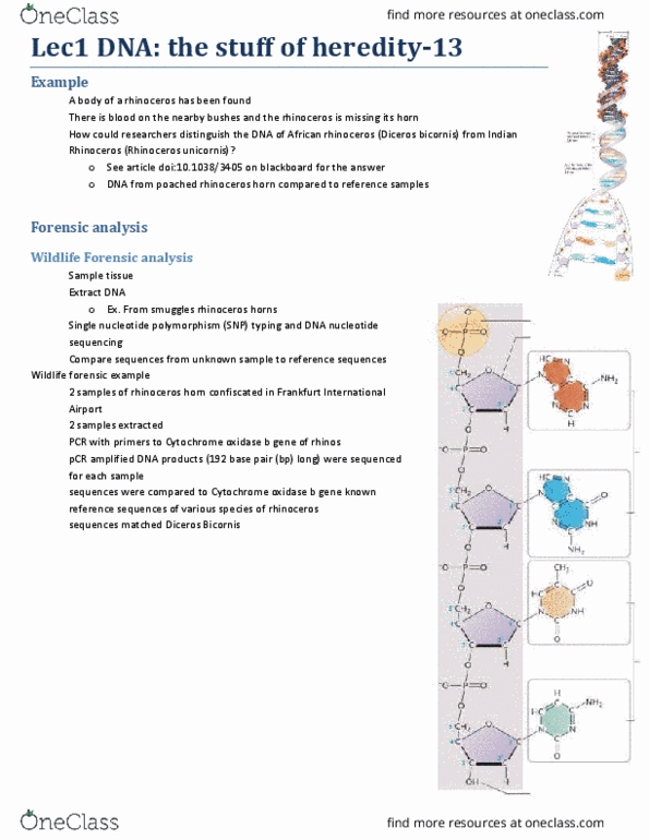 BIOA01H3 Lecture Notes - Lecture 1: Okazaki Fragments, Indian Rhinoceros, Single-Nucleotide Polymorphism thumbnail