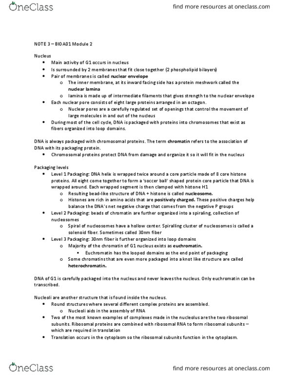 BIOA01H3 Lecture Notes - Lecture 3: Intron, Conformational Change, Phosphodiester Bond thumbnail