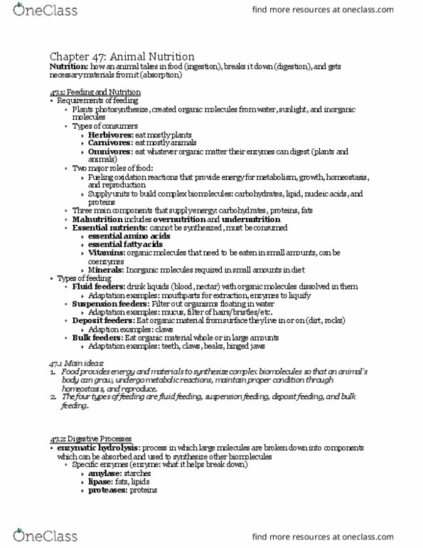 BIOL BC 1500x Chapter Notes - Chapter 47: Cellulase, Abomasum, Portal Vein thumbnail