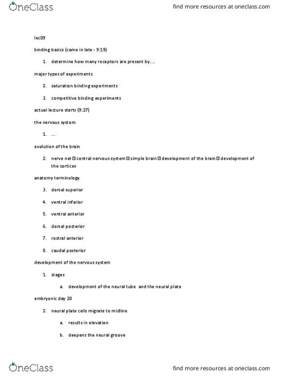 BIOC32H3 Lecture Notes - Lecture 9: White Matter, Schwann Cell, Intracranial Pressure thumbnail