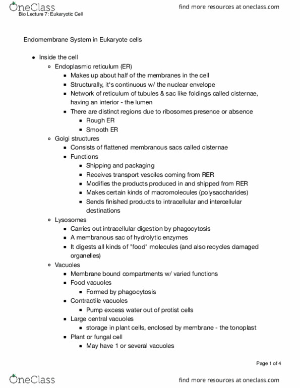 BIO 311C Lecture Notes - Lecture 7: Nuclear Lamina, Mitochondrion, Microtubule thumbnail