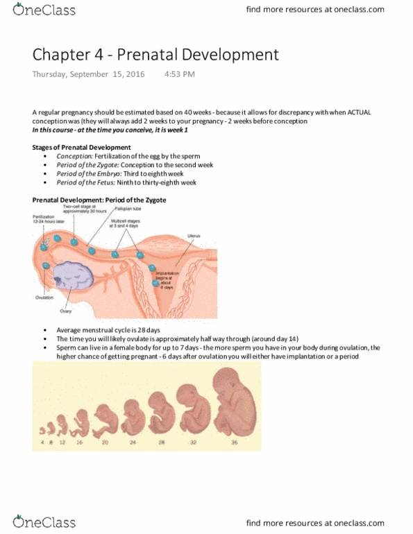 PSY 2105 Lecture Notes - Lecture 3: Infant Mortality, Amniocentesis, Miscarriage thumbnail