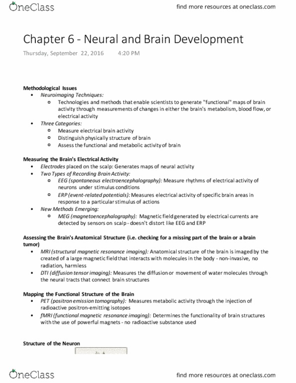 PSY 2105 Lecture Notes - Lecture 5: Teratology, Cholinergic, Executive Functions thumbnail