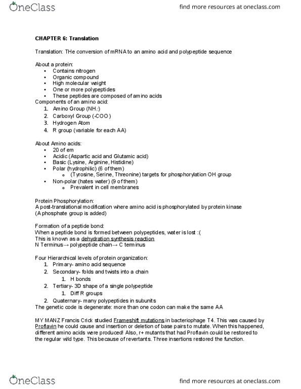 BIL 250 Chapter Notes - Chapter 6: Hydrolysis, Kozak Consensus Sequence, Transferase thumbnail