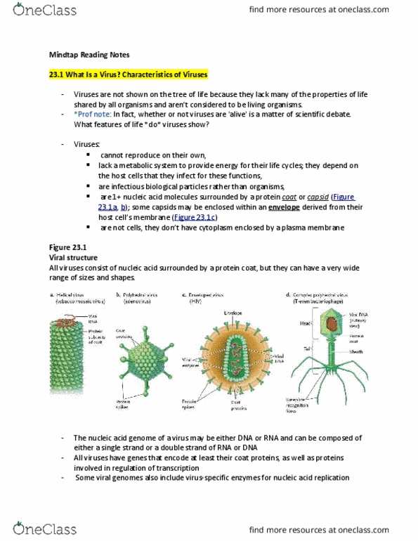 Biology 1001A Chapter Notes - Chapter 23.1 - 23.4: Phylogenetic Tree, Hiv, Sub-Saharan Africa thumbnail