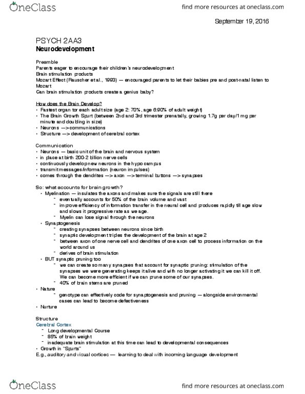 PSYCH 2AA3 Lecture Notes - Lecture 2: Synaptic Pruning, Synaptogenesis, Neuron thumbnail