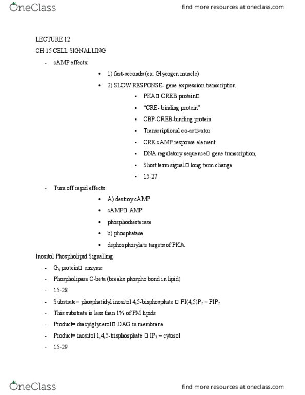 BIOL 2021 Lecture Notes - Lecture 12: Visual Phototransduction, Diglyceride, Photon thumbnail