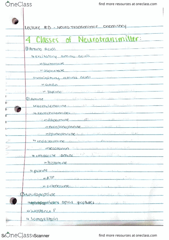 NRSC 277 Lecture 8: Neurotransmitter Chemistry thumbnail