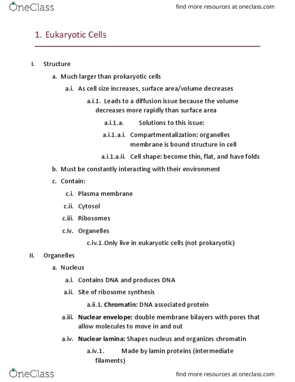 BIOLOGY 101 Lecture Notes - Lecture 7: Catalase, Endocytosis, Glycogen thumbnail